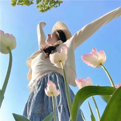 铁扇公主
