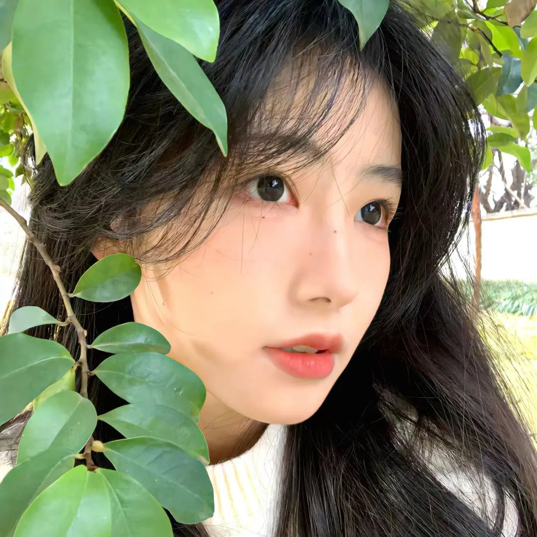月球时代白日梦